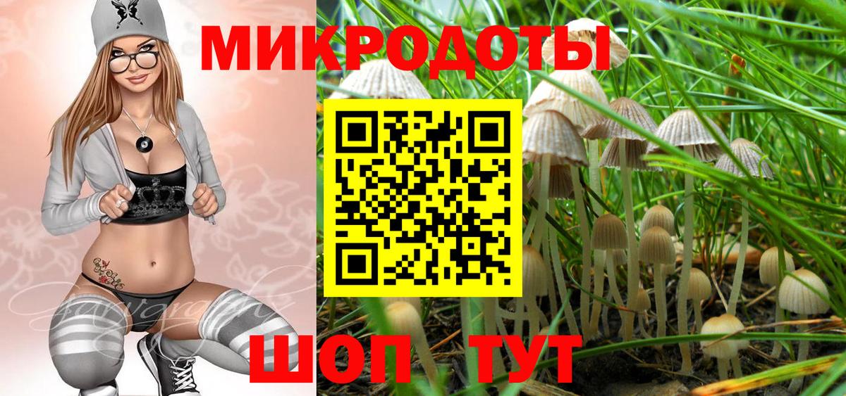 Киреевск  Псилоцибиновые грибы Cubensis  Вход с VPN 