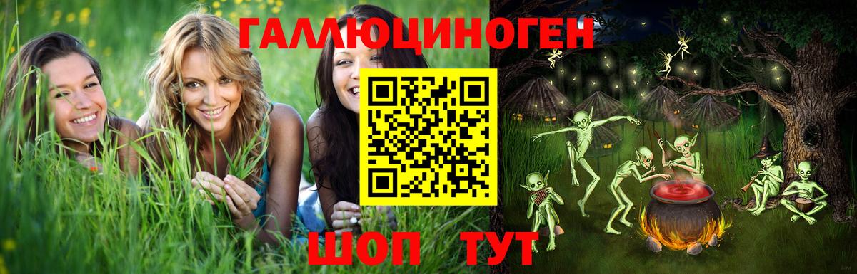 Псилоцибиновые грибы Psilocybe Киреевск